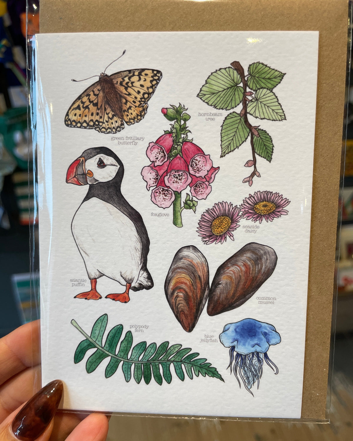 Coastal Nature Card