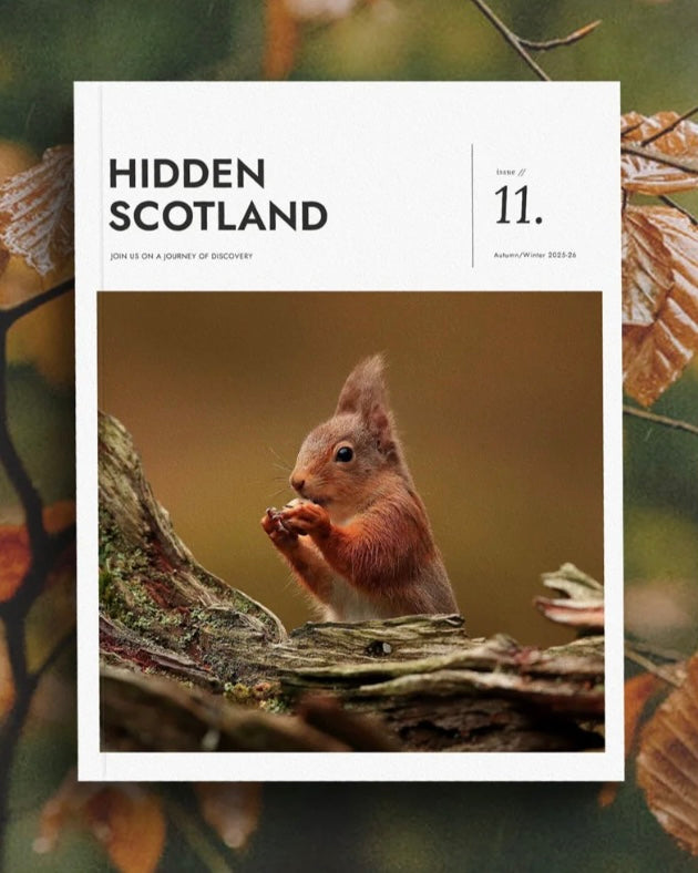 Magazine cover titled 'Hidden Scotland' Issue 11 featuring a red squirrel on a branch.