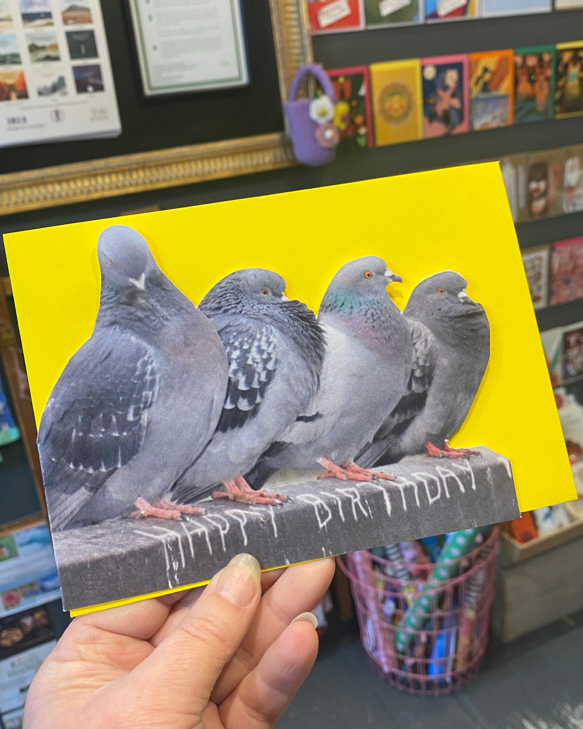 Birthday Pigeons Card