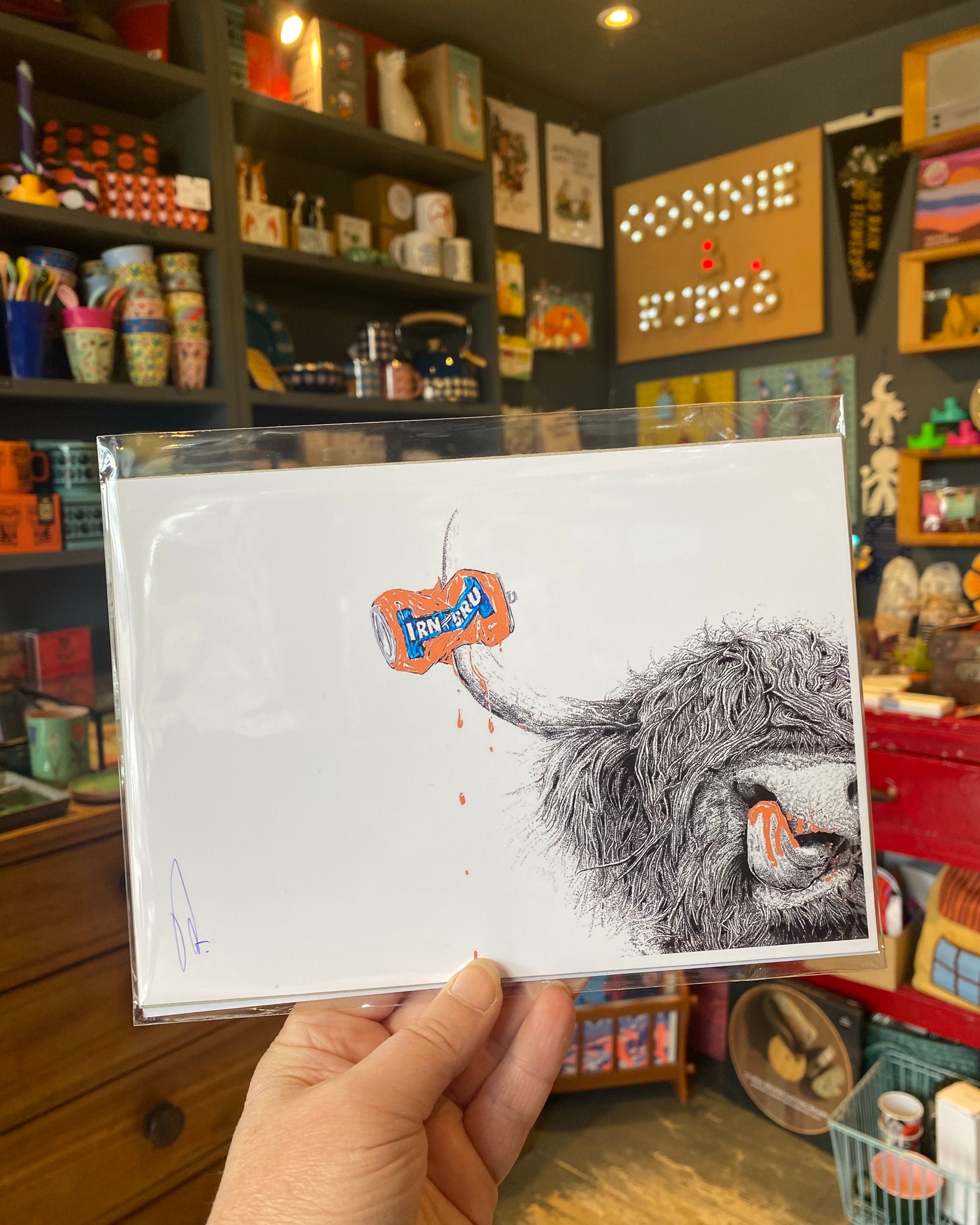 A5 print with a highland cow and irn Bru can, held in front of a store shelf.