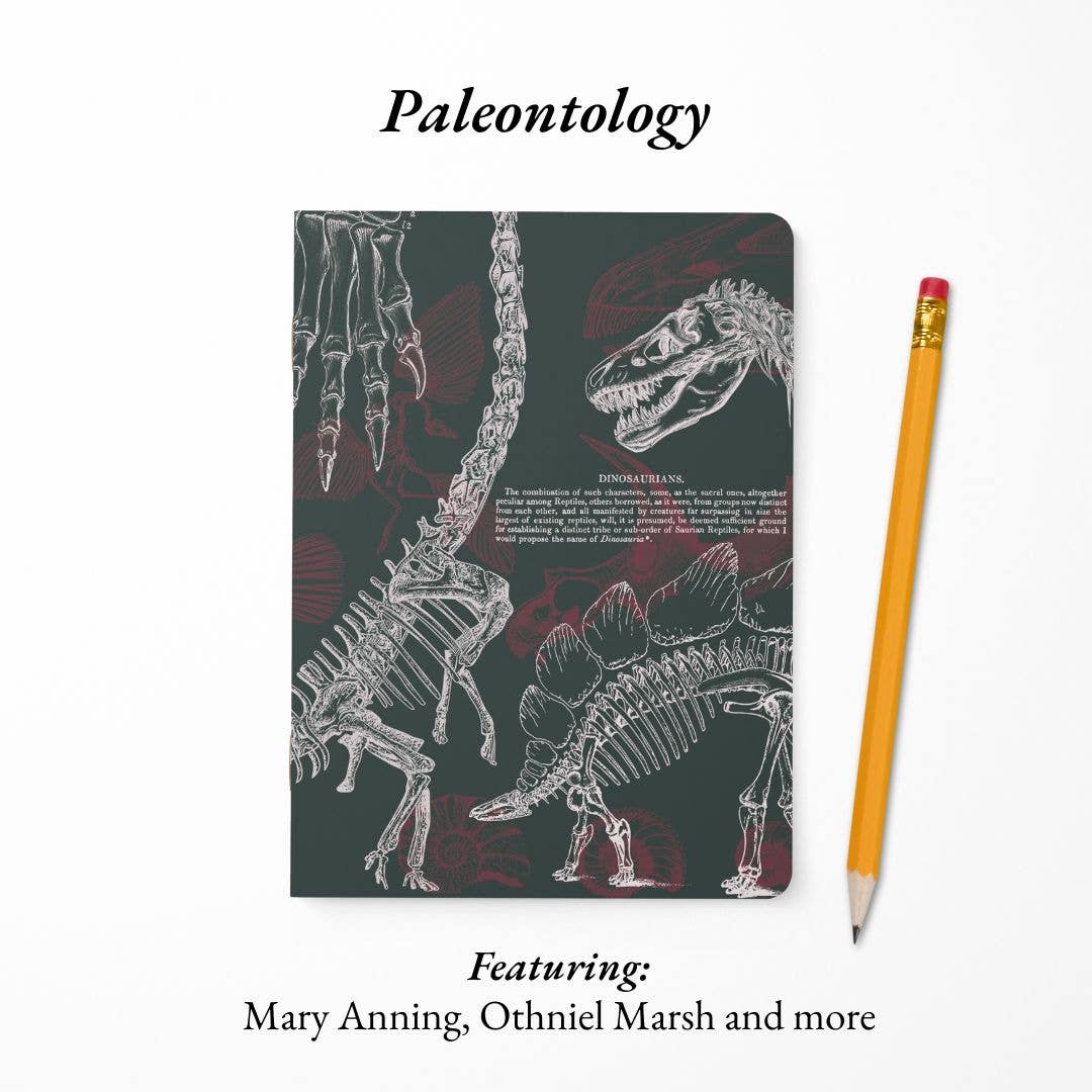Ancient Earth Notebook Set: Geology, Paleontology, Archaeology