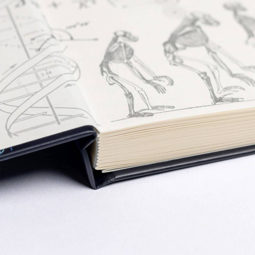 Astronomy A5 Hardcover Notebook